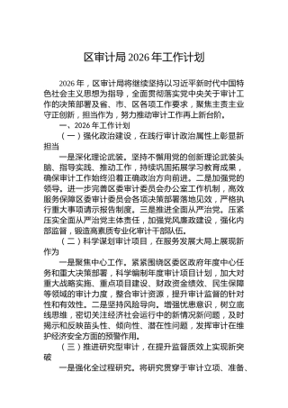 区审计局2026年工作计划