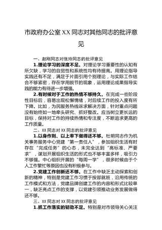 市政府办公室XX同志对其他同志的批评意见