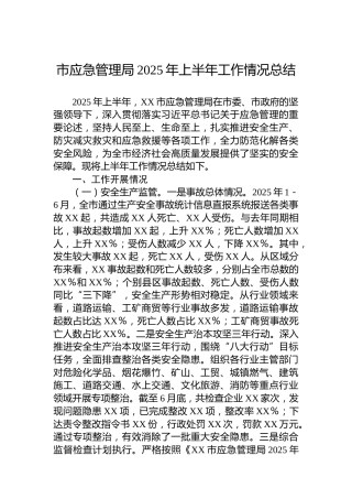 市应急管理局2025年上半年工作情况总结