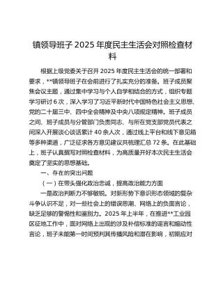 镇领导班子2025年度民主生活会对照检查材料（五个带头+典型案例剖析）（2）