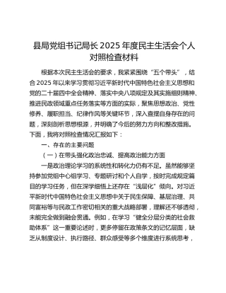县局党组书记局长2025年度民主生活会个人对照检查材料（五个带头）