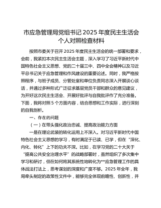 市应急管理局党组书记2025年度民主生活会个人对照检查材料（五个带头+典型案例剖析）
