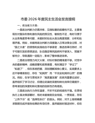 市委2026年度民主生活会发言提纲