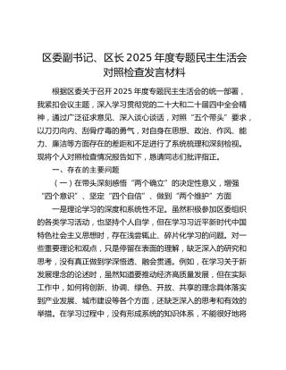 区委副书记、区长 2025 年度专题民主生活会对照检查发言材料