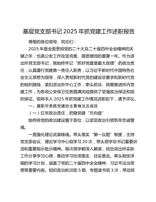 基层党支部书记2025年抓党建工作述职报告