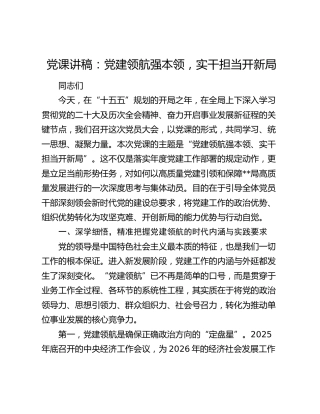 党课讲稿：党建领航强本领  实干担当开新局