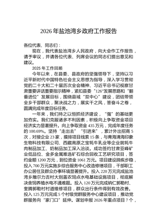 2026年盐池湾乡政府工作报告