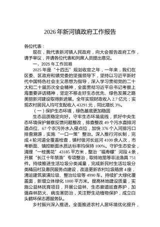 2026年新河镇政府工作报告