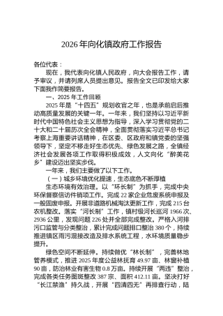 2026年向化镇政府工作报告