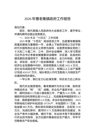 2026年曹老集镇政府工作报告