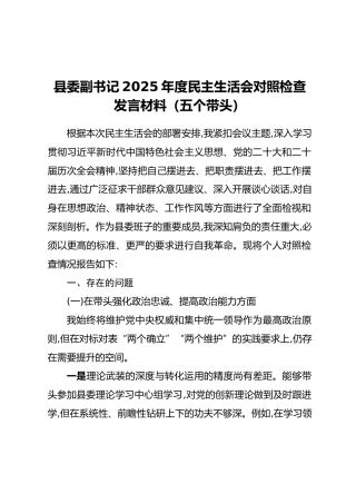 县委副书记2025年度民主生活会对照检查发言材料（五个带头）