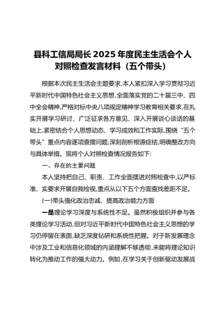 县科工信局局长2025年度民主生活会个人对照检查发言材料（五个带头）