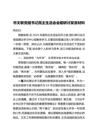 市文联党组书记民主生活会会前研讨发言材料