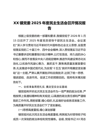 XX镇党委2025年度民主生活会召开情况报告