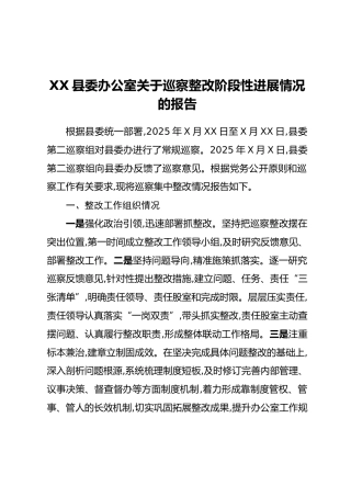 XX县委办公室关于巡察整改阶段性进展情况的报告