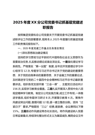 2025年度XX分公司党委书记抓基层党建述职报告