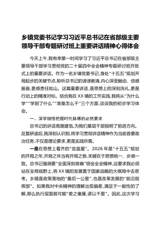 乡镇党委书记学习习近平总书记在省部级主要领导干部专题研讨班上重要讲话精神心得体会