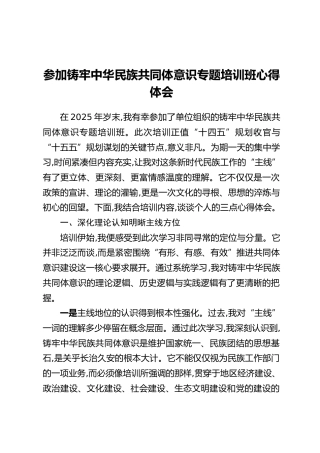 参加铸牢中华民族共同体意识专题培训班心得体会