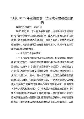 镇长2025年法治建设及法治政府建设述法报告