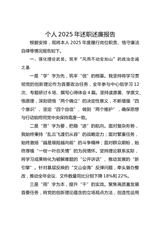 个人2025年述职述廉报告-