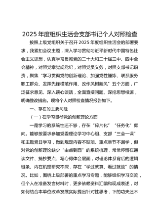 党支部书记2025年度组织生活会个人对照检查