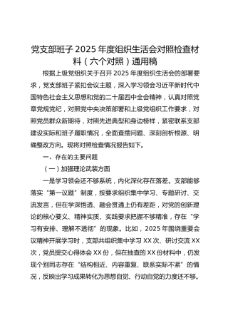 党支部班子2025年度组织生活会对照检查2