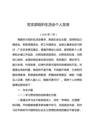 2025年度组织生活会个人对照检查5