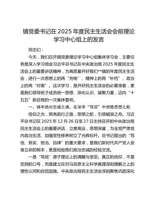 镇党委书记在2025年度民主生活会会前理论学习中心组上的发言