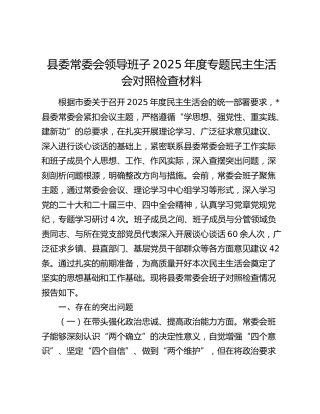 县委常委会领导班子2025年度专题民主生活会对照检查材料（五个带头+典型案例剖析）