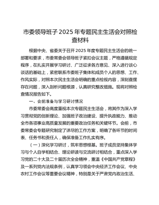 市委领导班子2025年专题民主生活会对照检查材料（会前准备与学习研讨情况+五个带头）
