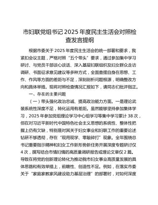 市妇联党组书记2025年度民主生活会对照检查发言提纲（五个带头）