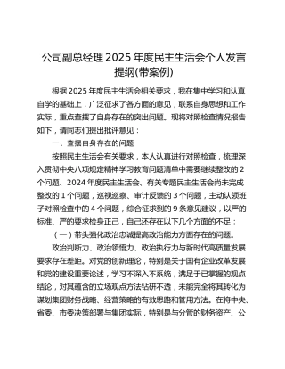 公司副总经理2025年度民主生活会个人发言提纲(带案例)
