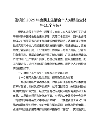 副镇长2025年度民主生活会个人对照检查材料(五个带头)
