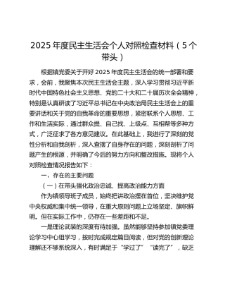 2025年度民主生活会个人对照检查材料（5个带头）