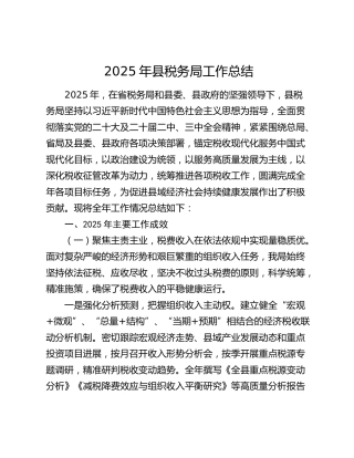 2025年县税务局工作总结