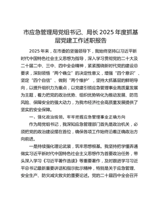 市应急管理局党组书记、局长2025年度抓基层党建工作述职报告