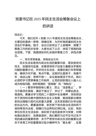 党委书记在2025年民主生活会筹备会议上的讲话