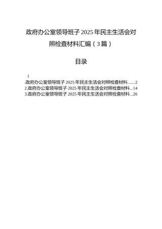 政府办公室领导班子2025年民主生活会对照检查材料汇编（3篇）