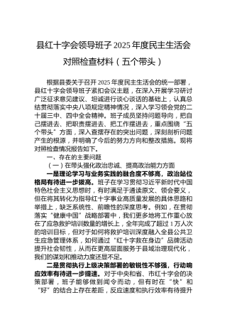 县红十字会领导班子2025年度民主生活会对照检查材料（五个带头）