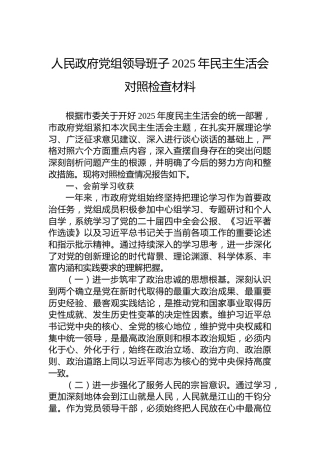 人民政府党组领导班子2025年民主生活会对照检查材料