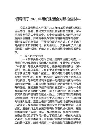领导班子2025年组织生活会对照检查材料