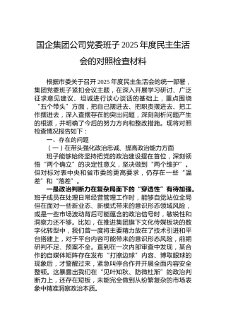 国企集团公司党委班子2025年度民主生活会的对照检查材料