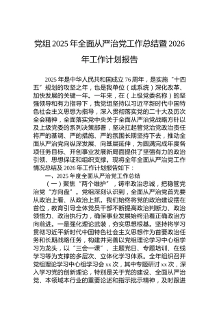 党组2025年全面从严治党工作总结暨2026年工作计划报告