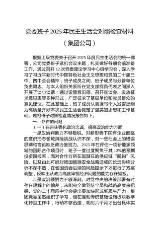党委班子2025年民主生活会对照检查材料（集团公司）