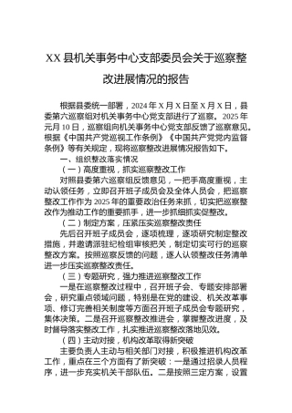 XX县机关事务中心支部委员会关于巡察整改进展情况的报告
