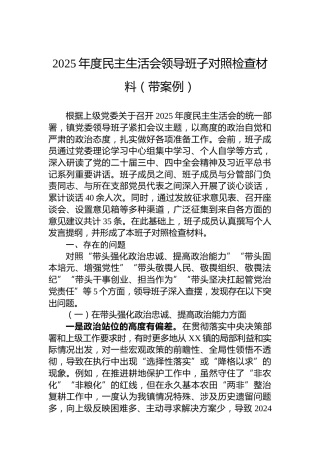 2025年度民主生活会领导班子对照检查材料（带案例）