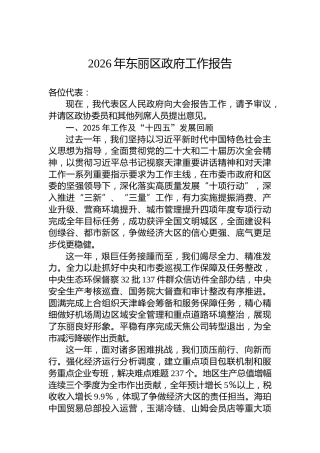 2026年东丽区政府工作报告