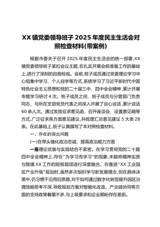 XX镇党委领导班子2025年度民主生活会对照检查材料（带案例）
