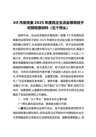 XX市发改委2025年度民主生活会领导班子对照检查材料（五个带头）