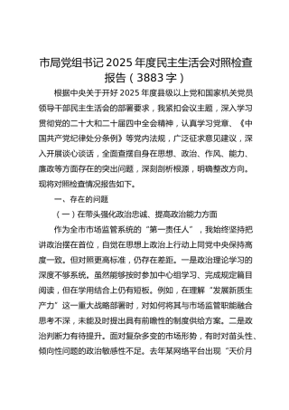 市局党组书记2025年度民主生活会对照检查报告（3883字）